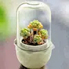 diy educational science toy