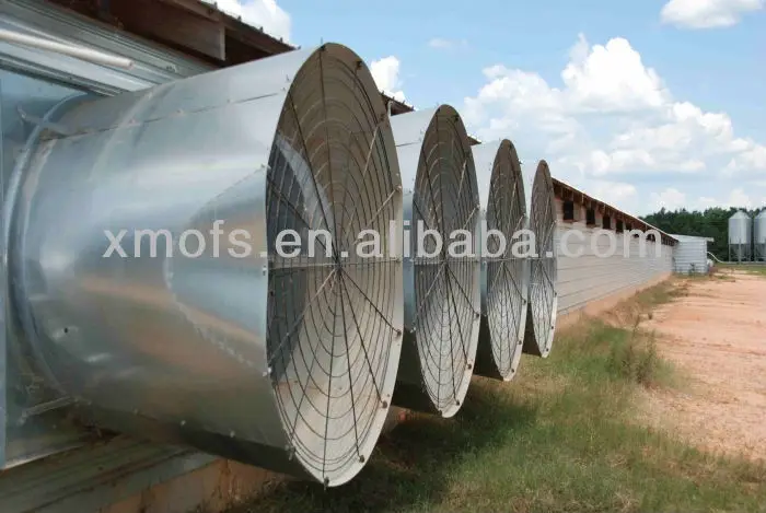 CHICKEN HOUE (1).jpg