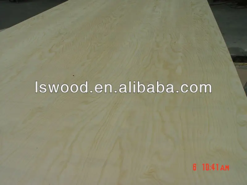 pinus sylvestris 3.jpg