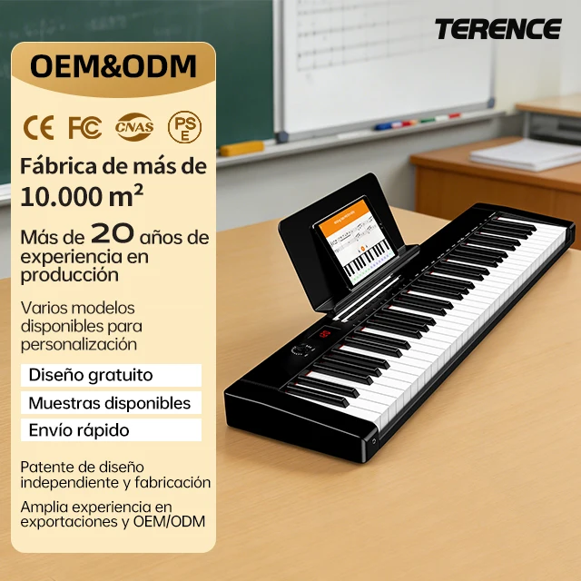 TERENCE TS-02 Portable Digital Piano Electric Keyboard, 61-Keys