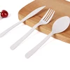 New Design 100% Biodegradable PLA Cutlery Knife Spoon And Fork