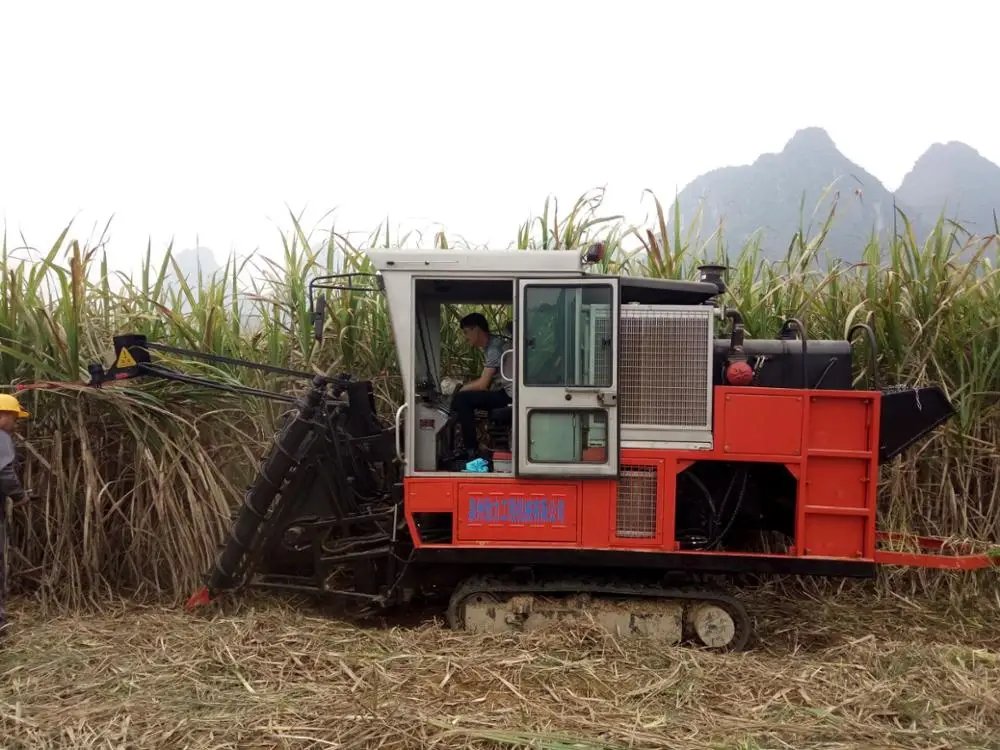 4gl1 Crawler Chain Type Whole Stalk Sugarcane Combine Harvester For