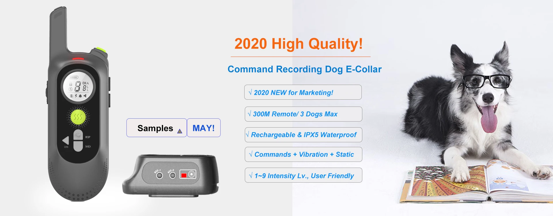 Dog Training Collar (4).jpg