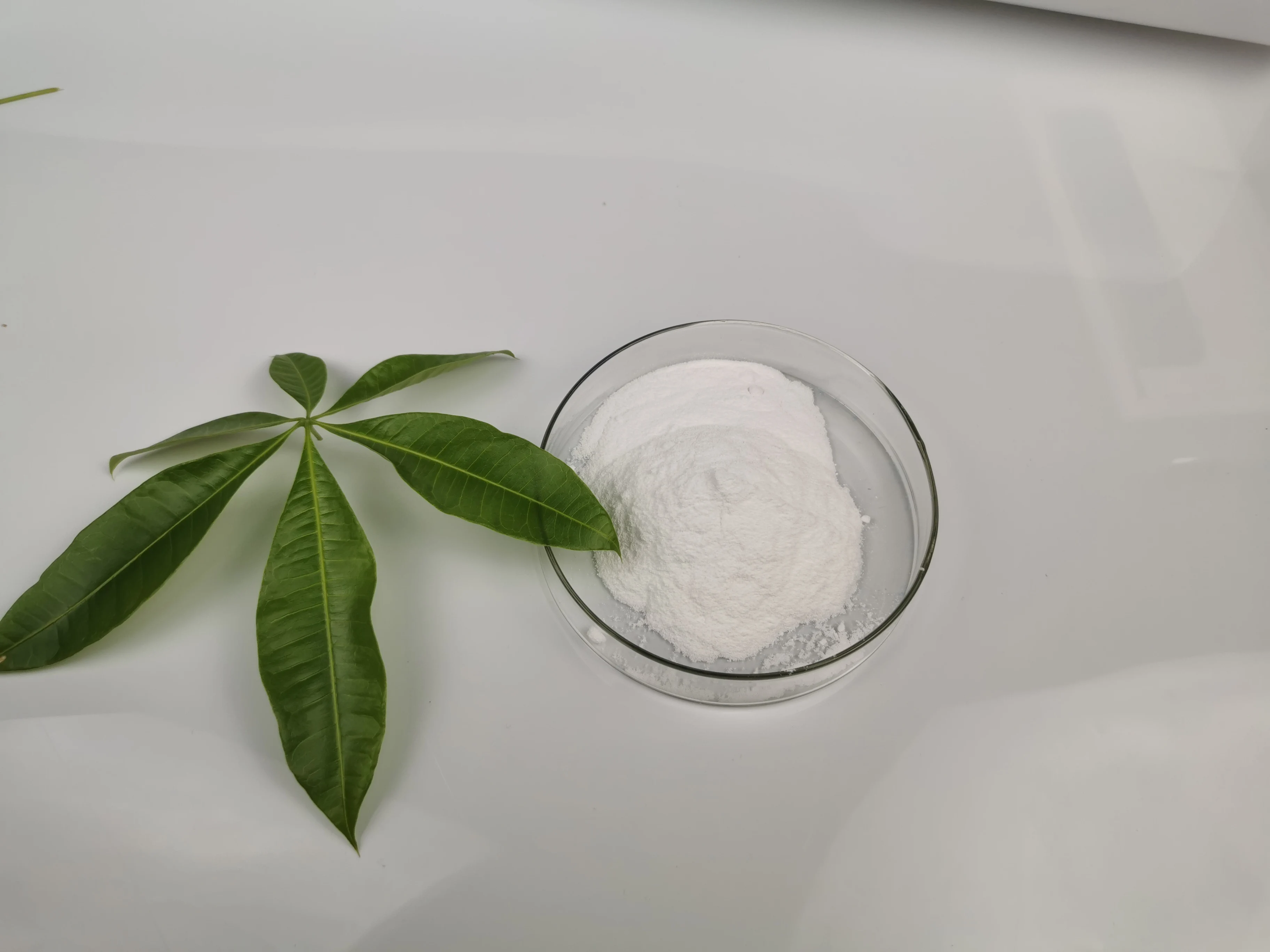 高品质聚丙烯酸钠粉末食品级