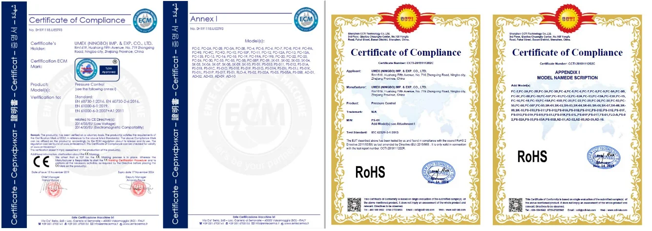 paste-pic-dp_uuid_9ozn8