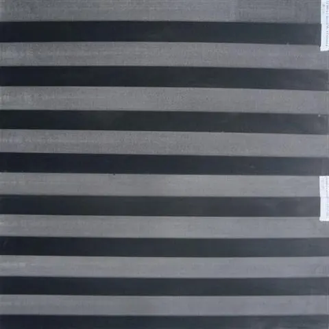 ZEBRA CROSSING.jpg