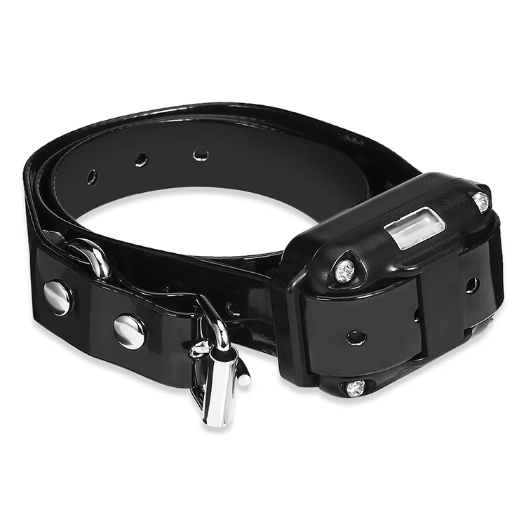 Dog Training Collar.jpg