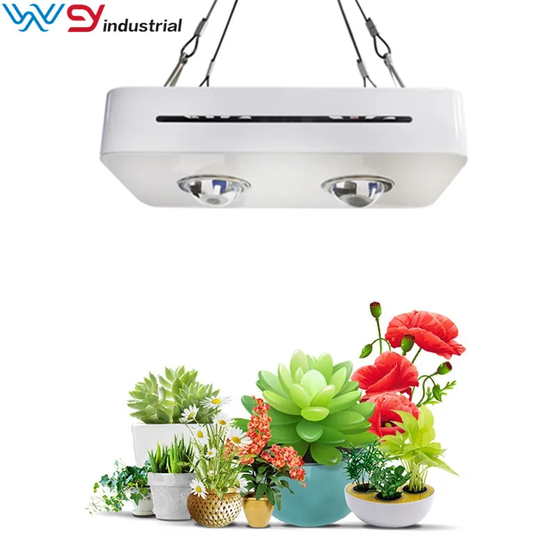 2020 New Best Selling Led Grow Light COB 300W Full Spectrum Led Grow Light with Competitive Price