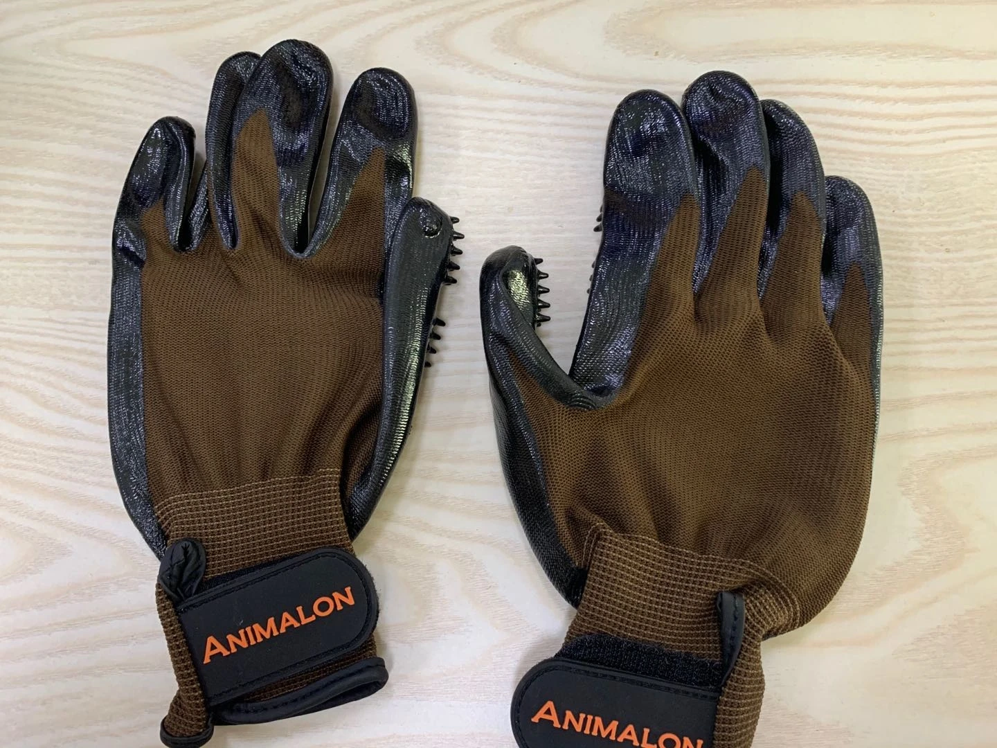PET GLOVE.jpg