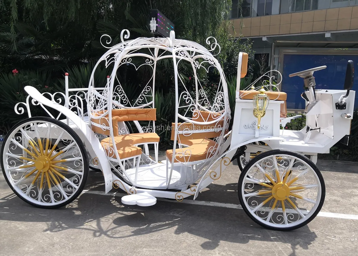 可爱的萨里从电力马车婚礼