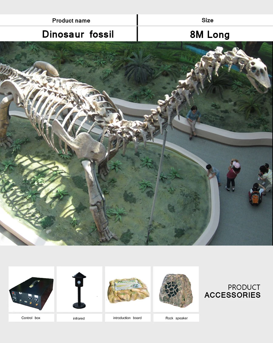 特売イチオリーズ 特大 ジュラ紀の恐竜化石 化石 www