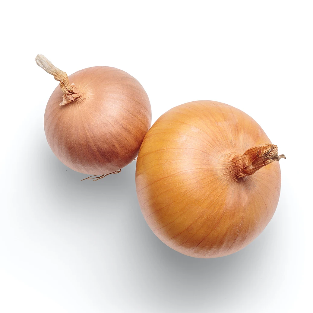Fresh Brown Onions Holland The Netherlands For Wholesale Private Label