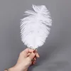 Wedding Party Decorations White Ostrich Feather 15-20cm Feather
