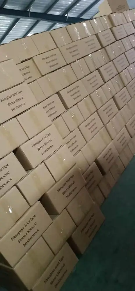 plasters mesh tape 65g/m2