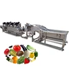 Customized fully automatic vegetable washing cutting vegetable processing machine in total