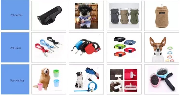 paste-pic-dp_uuid_5i3ys