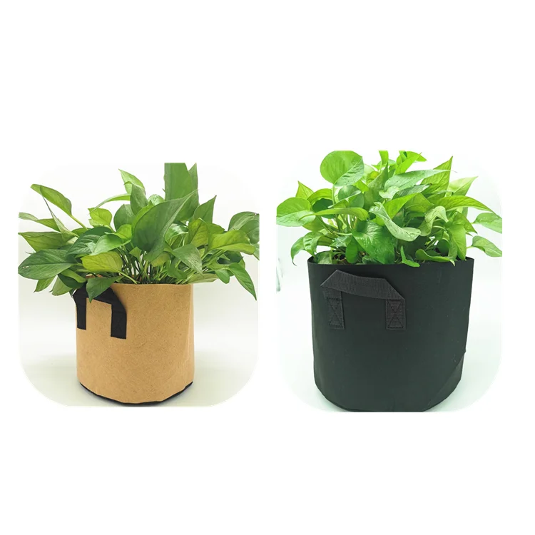 factory made fruit tree plant bag white and black plant grow bag