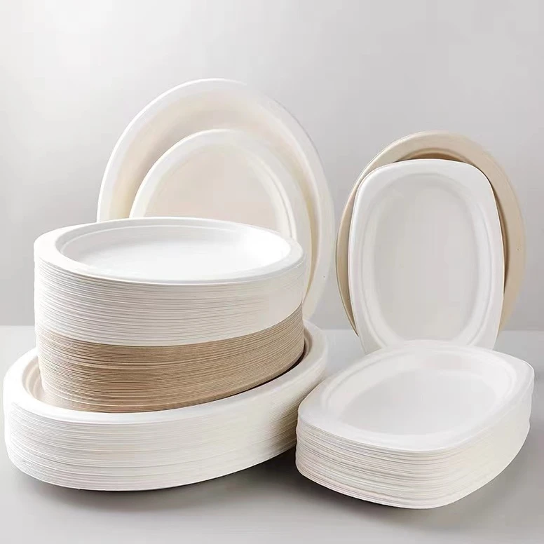 Biodegradable Bagasse Coated Paper Plate 9inch Size Buy Biodegradable