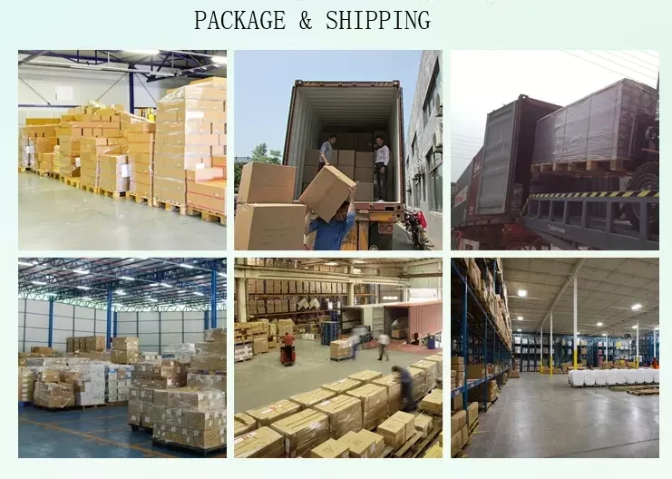 paste-pic-dp_uuid_eekbp