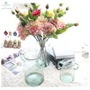 China transparent round glass vase wholesale foreign trade manufacturers matching vase