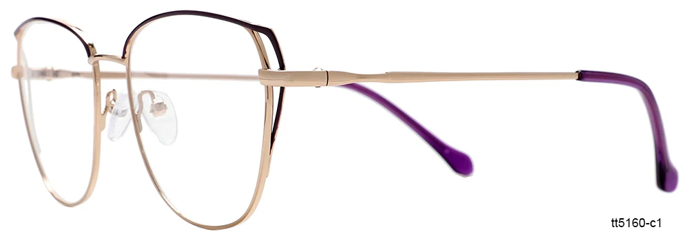 ray ban optical.jpg