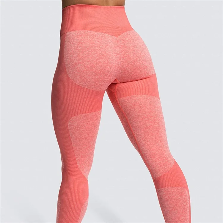 Supply High Waist Seamless Knitted Yoga Pants Leggings Women Workout