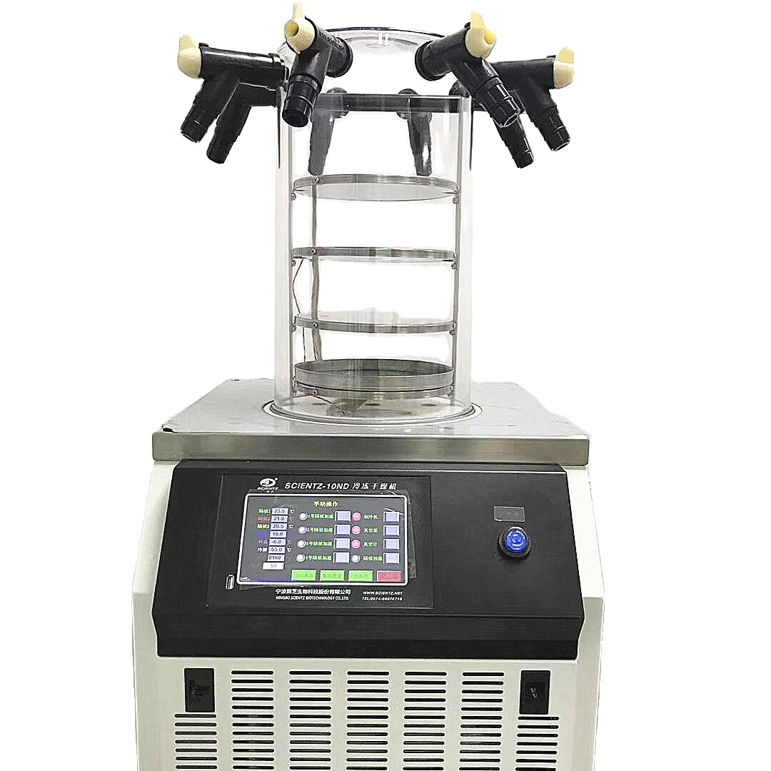China Mini Freeze Dryer Lyophilizer Price Scientz12n/c Lyophilizerr