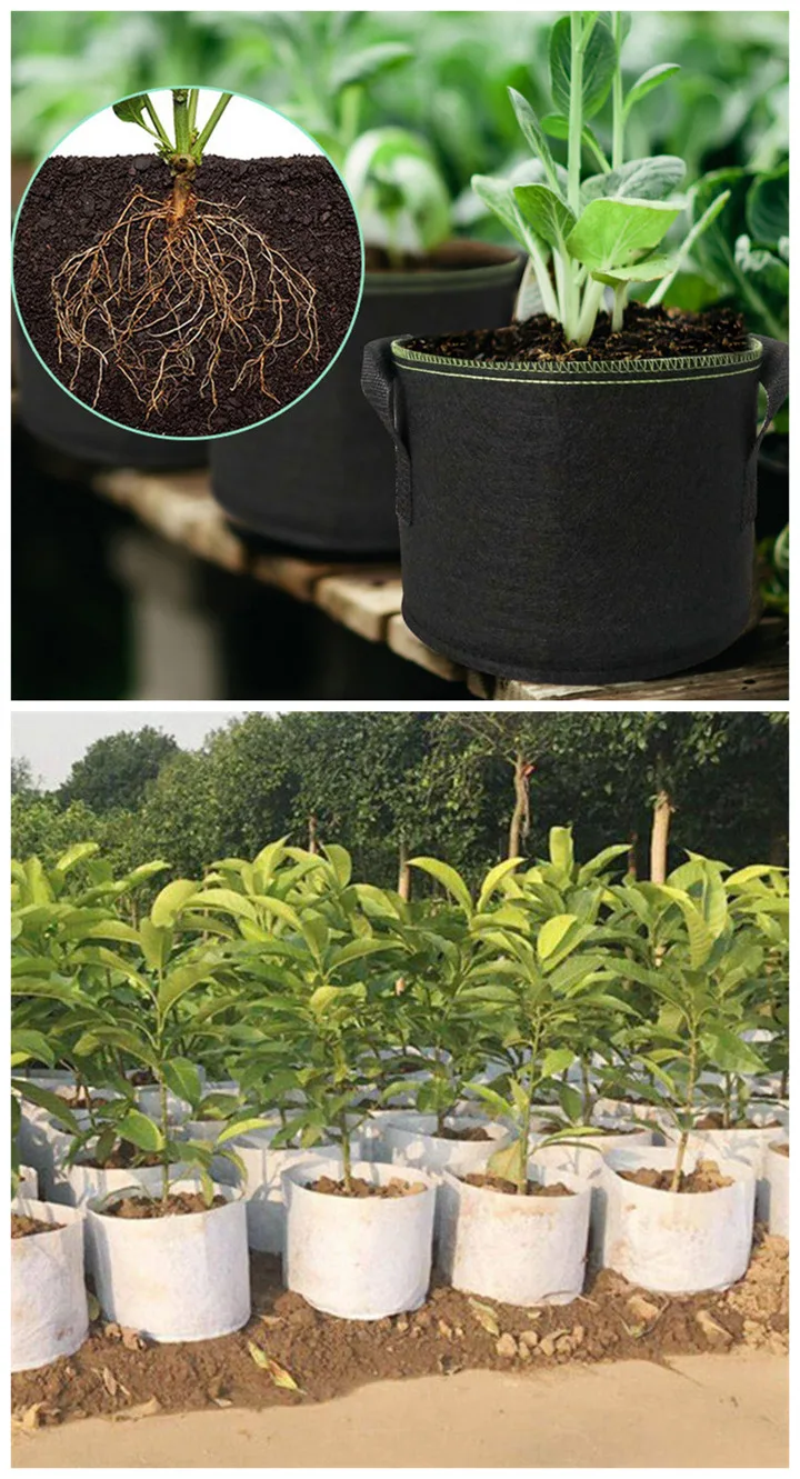 fabric grow bag (2).jpg