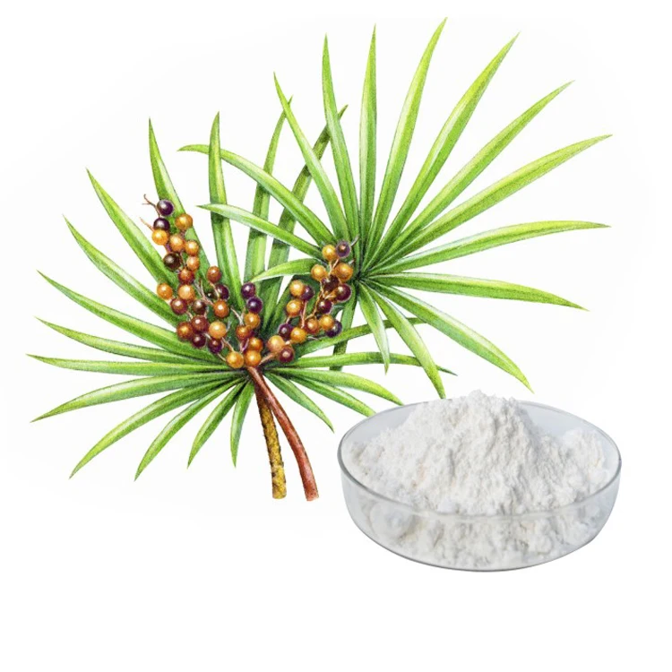 Saw palmetto.jpg