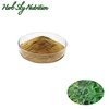 Wholesale Price Teasel root/ Radix dipsaci Extract Powder by free shipping