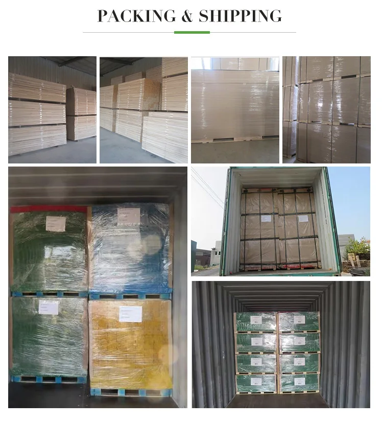 PAULOWNIA EDGE GLUED PANEL