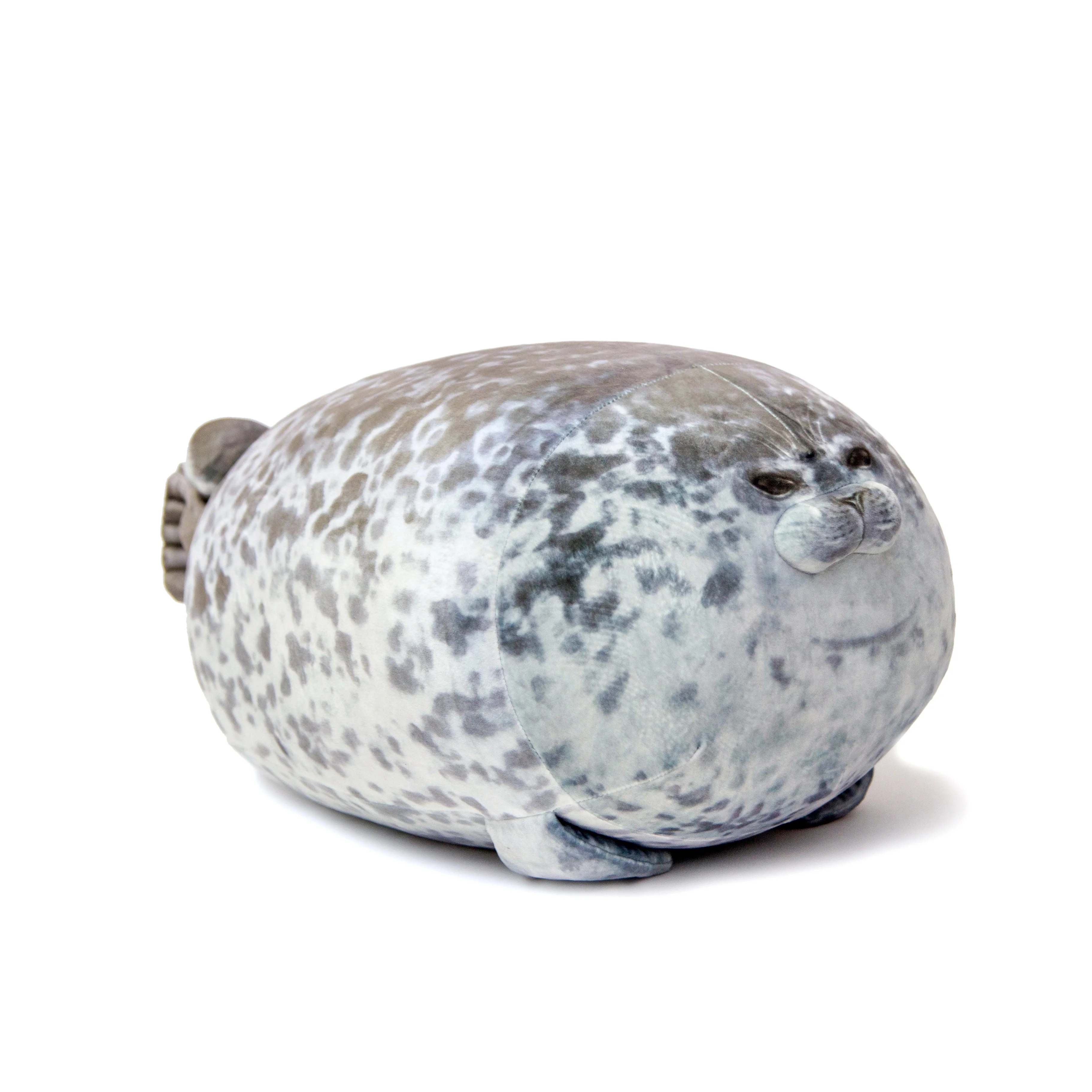 seal 2.jpg