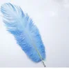 Wholesale Feather Crafts Supplier Promotional Cheap Ostrich Feather for sale