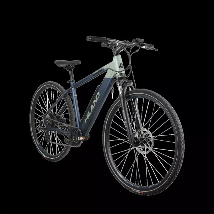 ebike (1).jpg