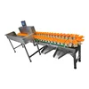 T Automatic Circular Sorting Machine