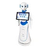 Multi-function smart humanoid service robot in airport consulting information