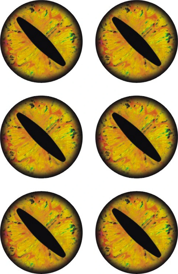 Wholesale Multicolor 3d Laser Fishing Lure Car Dragon Eyes Stickers