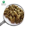 HOT SALE Food Flavor/Sprice Green Cardamom Seed Extract
