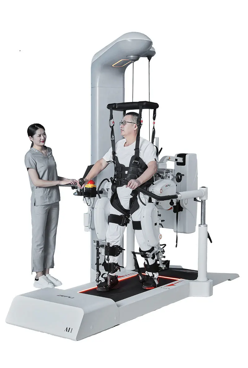 Gait Training and Evaluation System - Market Overview