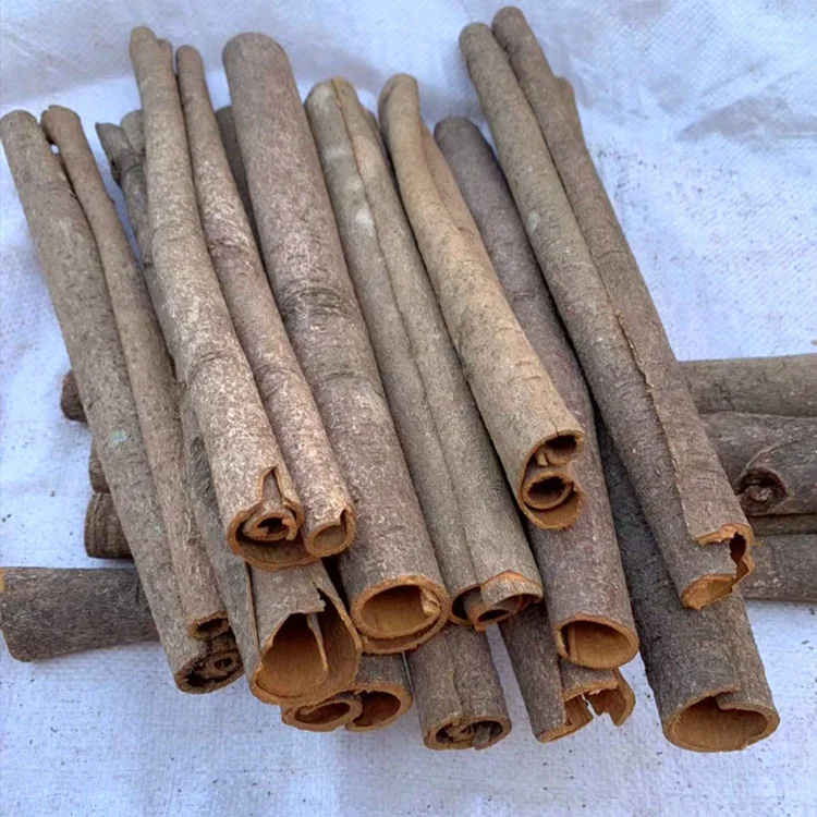 Cassia tube.jpg