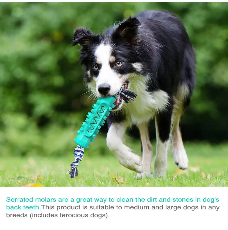 Brushing Teeth Cleaning Rubber Puppy Pet Chew Toys Dog Toothbrush Stick