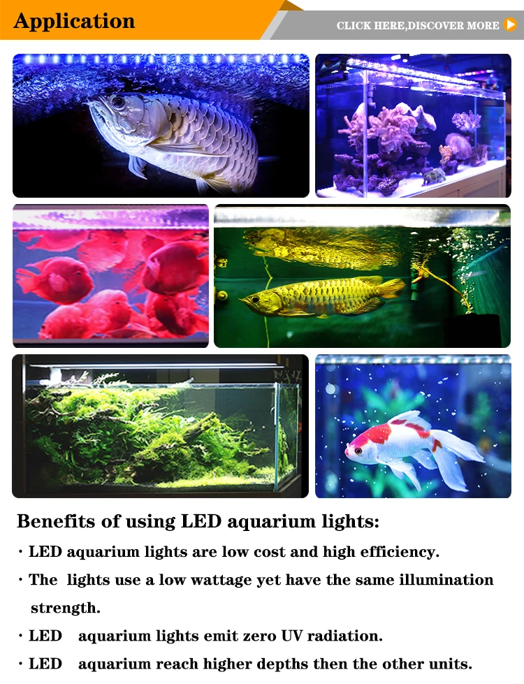 Chinese Koi Fish Light Ip67 Led Aquarium Tank Lighting T8 Rgb Light