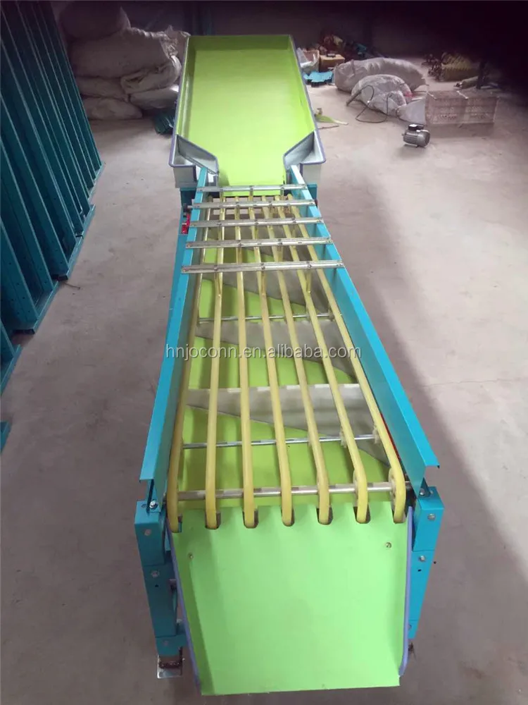 fruit sorting machine13.jpg