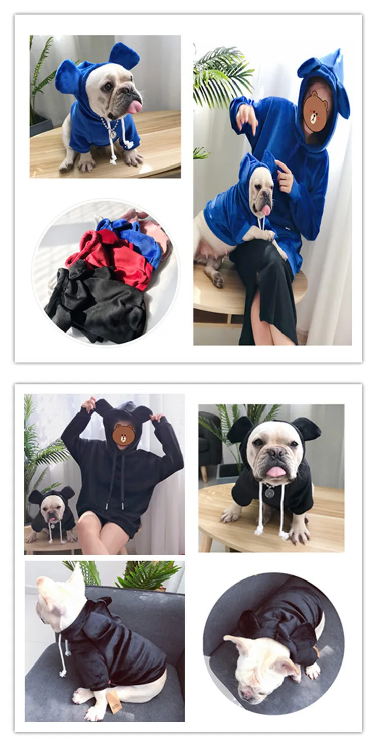 dog matched owner clothes2.jpg