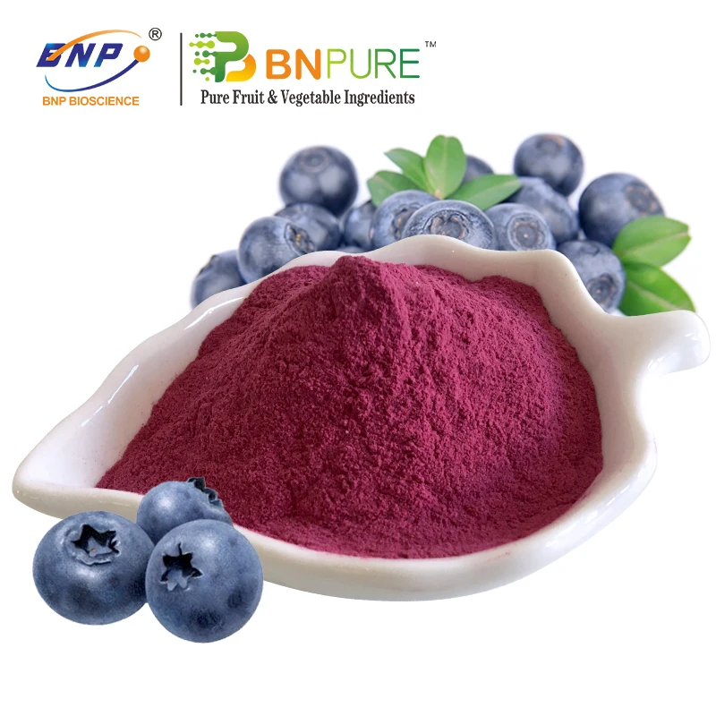 Elderberry Juice Powder to Improve Immunity With Halal Certificate