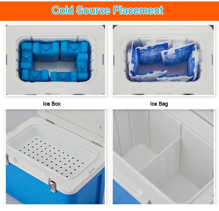 6l12l Portable Blood Vaccine 28 Cooling Storage Plastic Medical