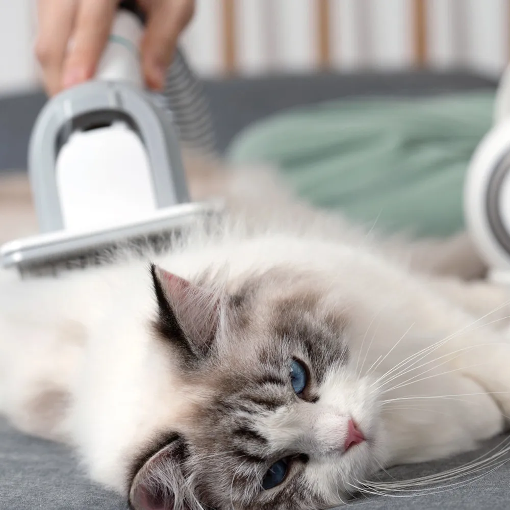 Professional 5 In 1 Dog And Cat Hair Grooming Vacuum With Low Noise