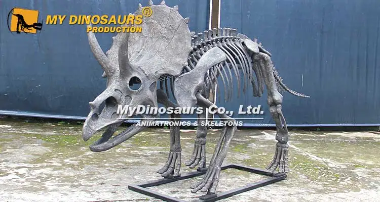 triceratops-skeleton-1.jpg