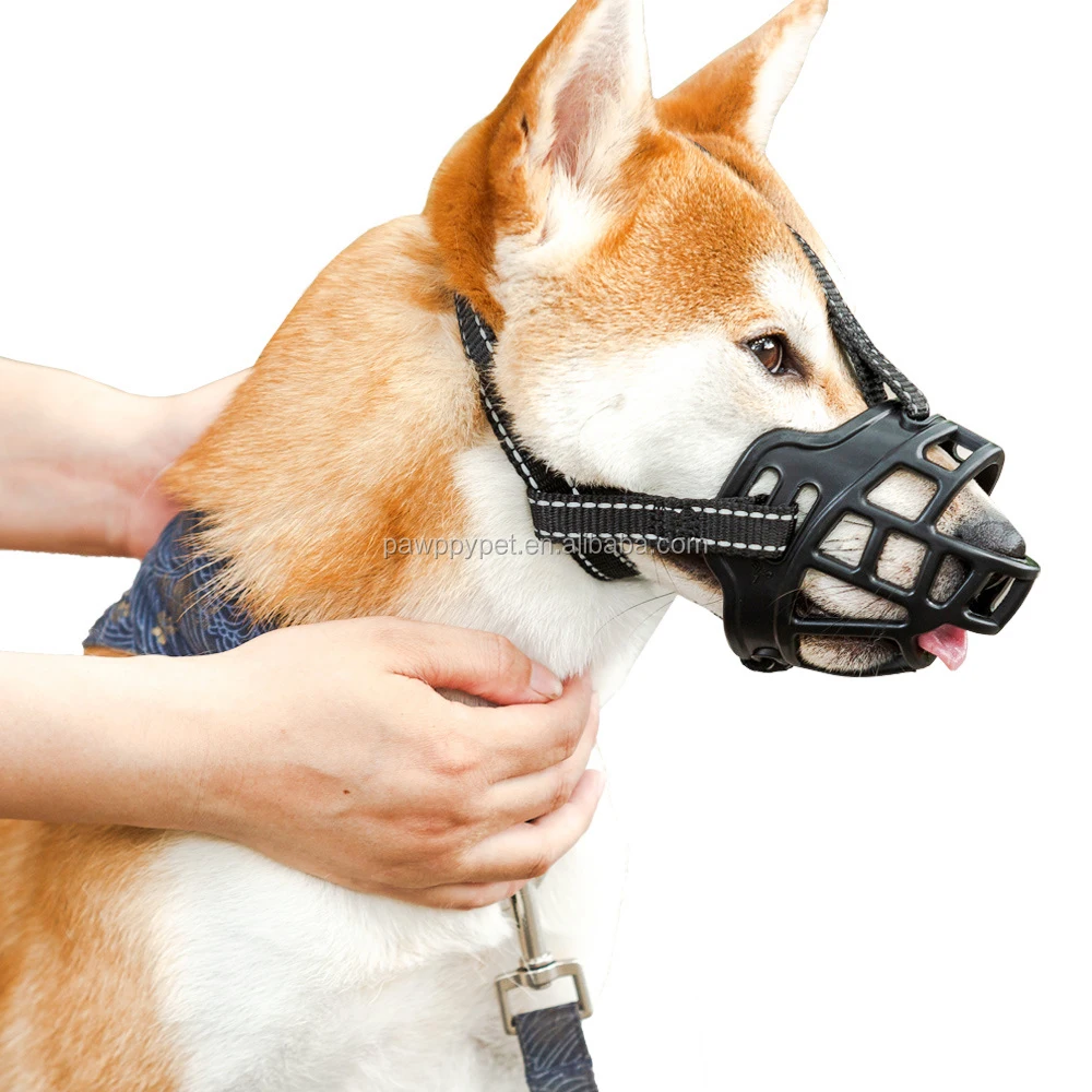 can i use a muzzle to stop my dog barking