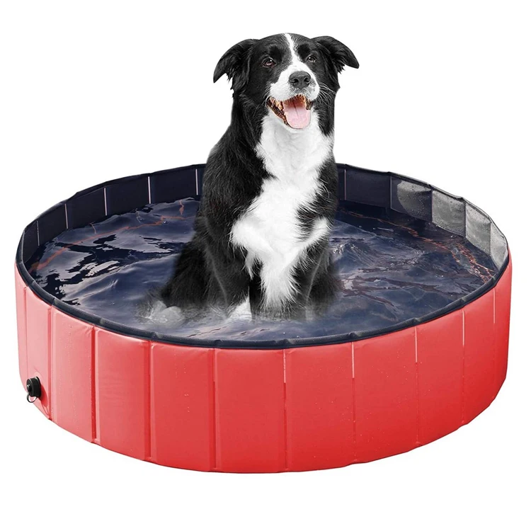 dog swimming pools for sale
